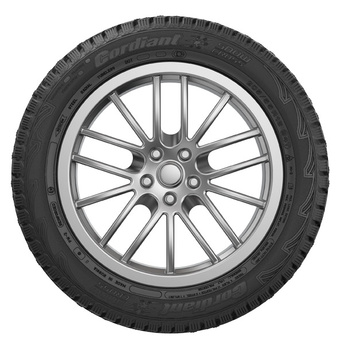 205/55R16 Snow Cross 94T шип.